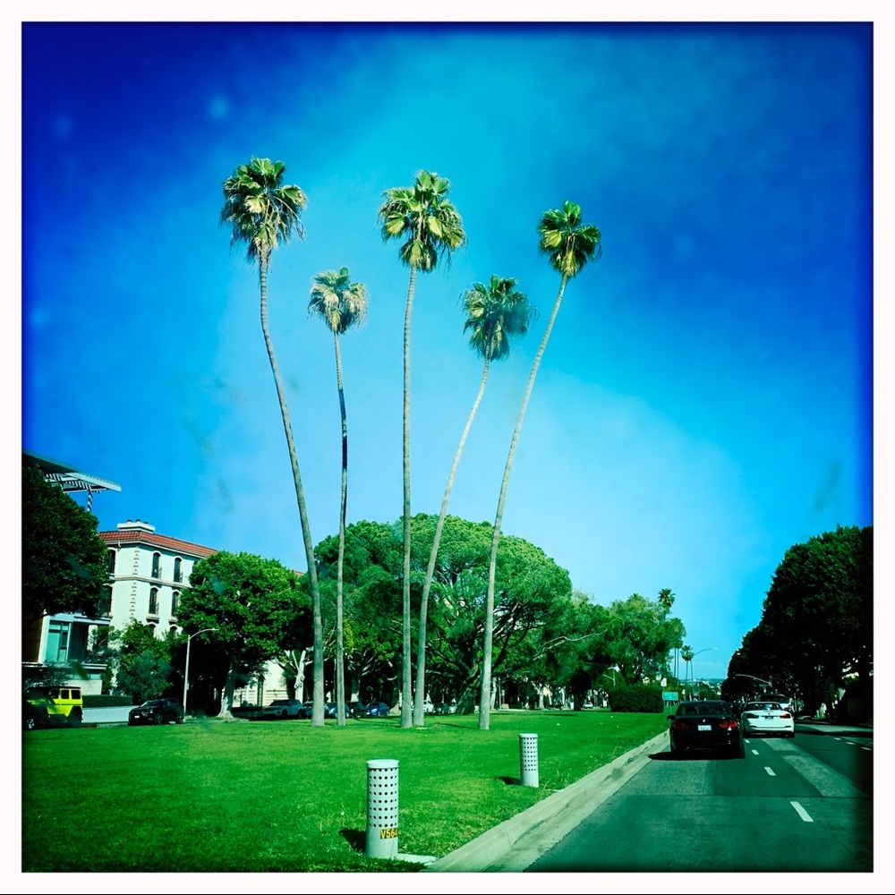 Meet your Posher, Lisa